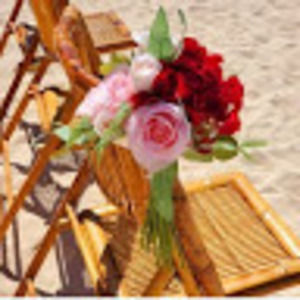 Meet your Posher, Arianna